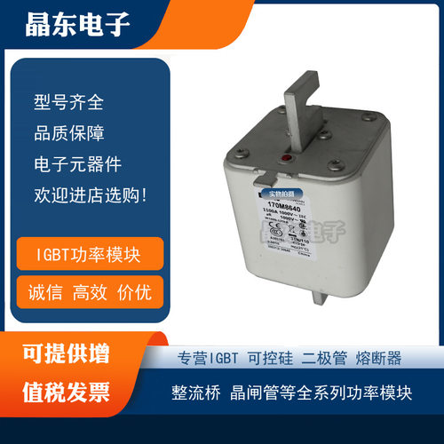 170M8647 170M8648 170M8649 170M8650全新现货低价直销熔断器