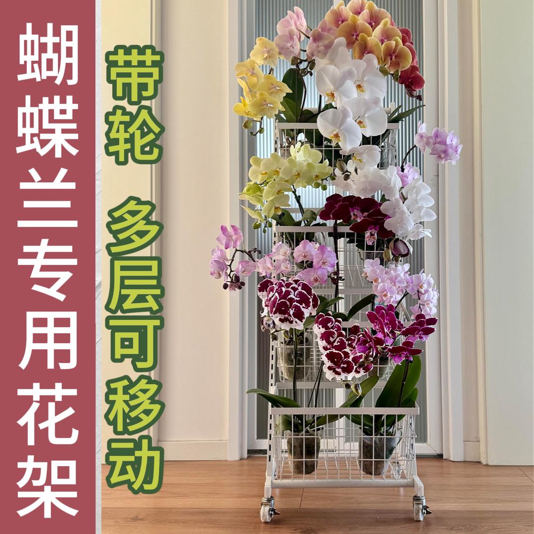 蝴蝶兰花架子客厅落地式可移动专用多层架适合放阳台展示的小推车