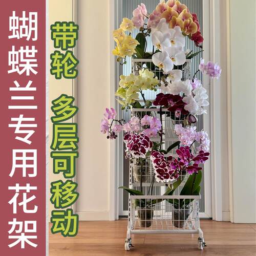 蝴蝶兰花架子客厅落地式可移动专用多层架适合放阳台展示的小推车