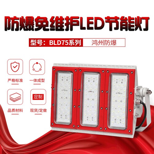 BLD75系列防爆免维护LED灯泡节能灯带路灯式支架式220V防爆照明灯