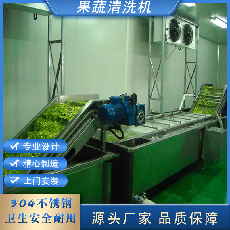 气泡清洗机银耳酸菜商用全自动清洗机草莓豆角果蔬清洗机