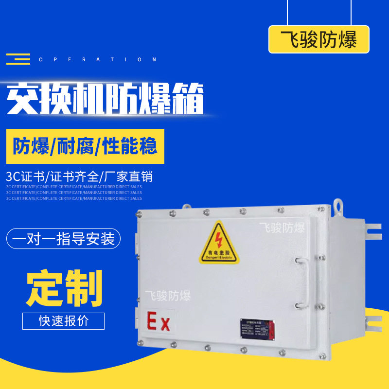 交换机防爆箱 防爆网络机柜防腐配电箱柜碳钢弱电柜不锈钢交换机