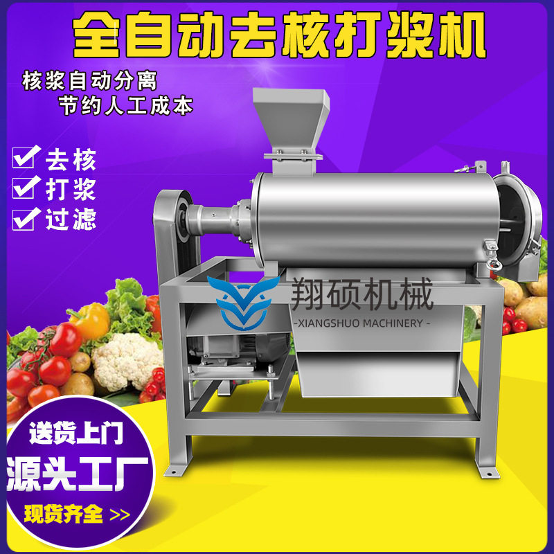 加工定做猕猴桃打浆机商用樱桃去核打浆机不锈钢水果脱核设备