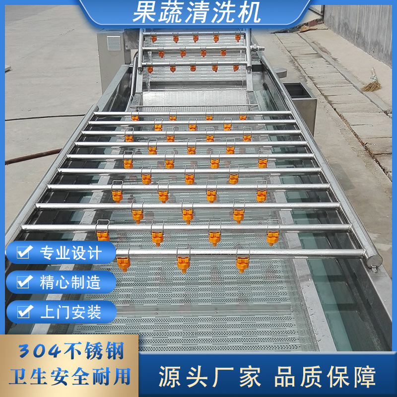 直销全自动果蔬气泡清洗机 果蔬臭氧洗菜机 大型香菇清洗设备