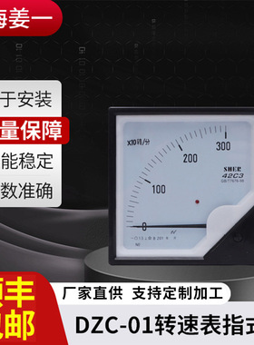 DZC-2电子模拟转速表 频率测量控制仪 转速表 线速表 频率表