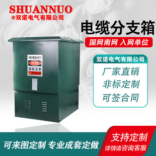 10KV高压欧式 630户外不锈钢一进二三四出分接箱 电缆分支箱DFW