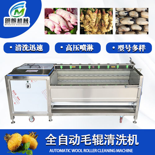 全自动土豆去皮机 土豆生姜清洗去皮设备 不锈钢毛刷毛辊清洗机