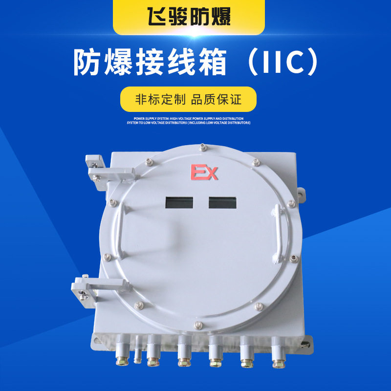 防爆接线箱IIC配电箱BJX碳钢防爆空防爆隔爆箱 防爆接线盒厂家,机械设备,防雷电设备,淘宝优惠券,粉丝福利购,淘宝优惠卷