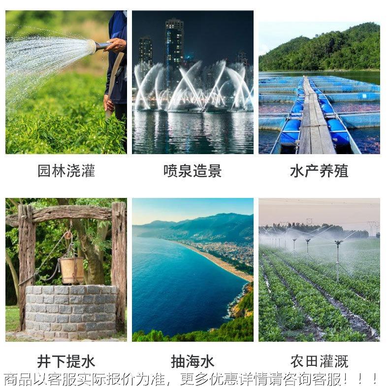 Q油 浸式潜水泵PGO 国标油浸 大流Y量农田灌溉潜水泵3泵80v三相