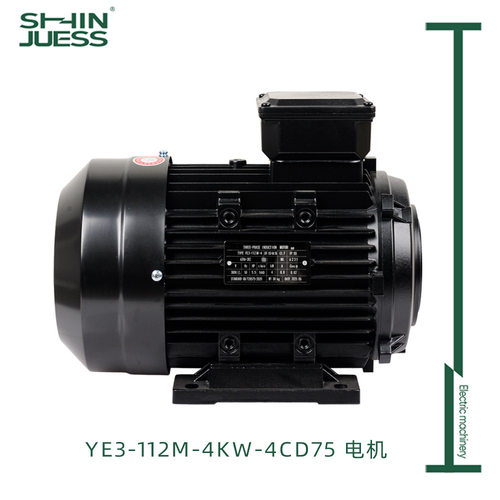 高压清洗机全铜三相异步电机大流量高压柱塞泵内轴电机厂家外贸款