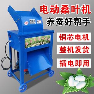 切桑叶机电动桑叶机220v小型家用切桑机养殖蚕专用全自动切桑叶机