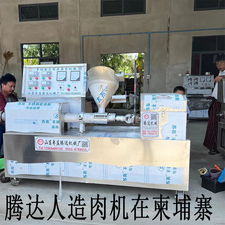 豆制品加工设备全自动人造肉机大豆蛋白肉机素牛排机面皮面藕机