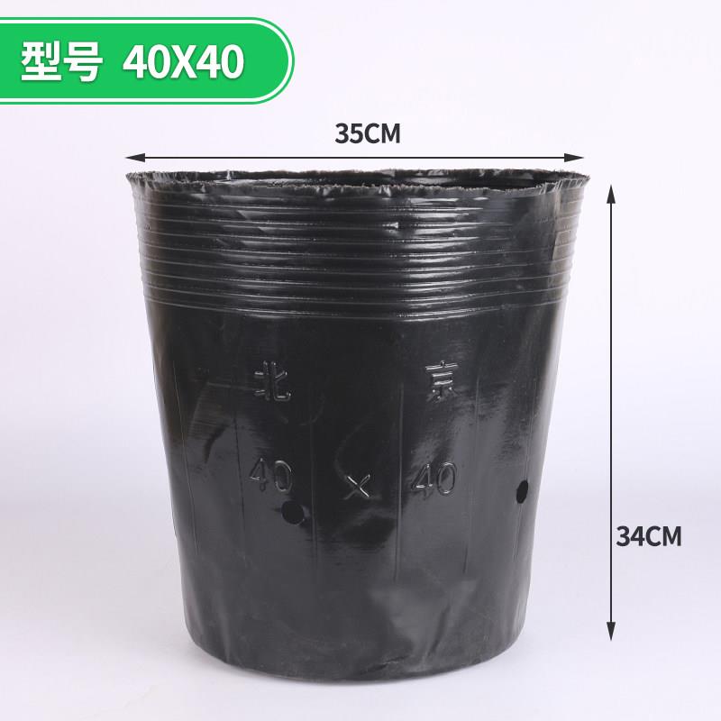 天麻营养钵大口径塑料魔芋花盆厂家营养杯育苗杯清仓月季果树种植