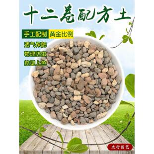 多肉纯颗粒玉露十二卷专用配方土万象寿玉扇生石花屁屁肉锥营养土