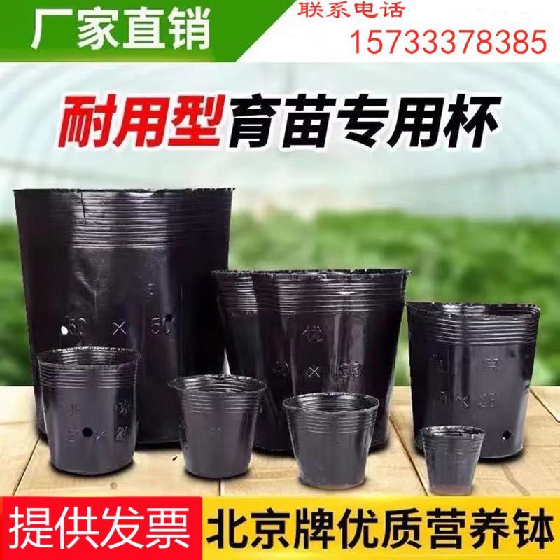 营养杯营养钵育苗杯育苗盆黑色营养袋加厚黑色一次性塑料杯大号