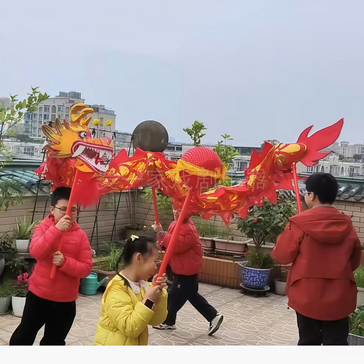 幼儿舞龙道具,小学生运动会舞龙,舞狮表演,龙灯活动,豪家全套
