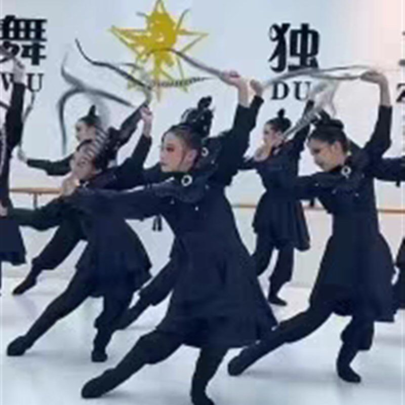 新款蒙古族舞蹈演出服女成人少数民族表演服蒙古袍舞蹈服