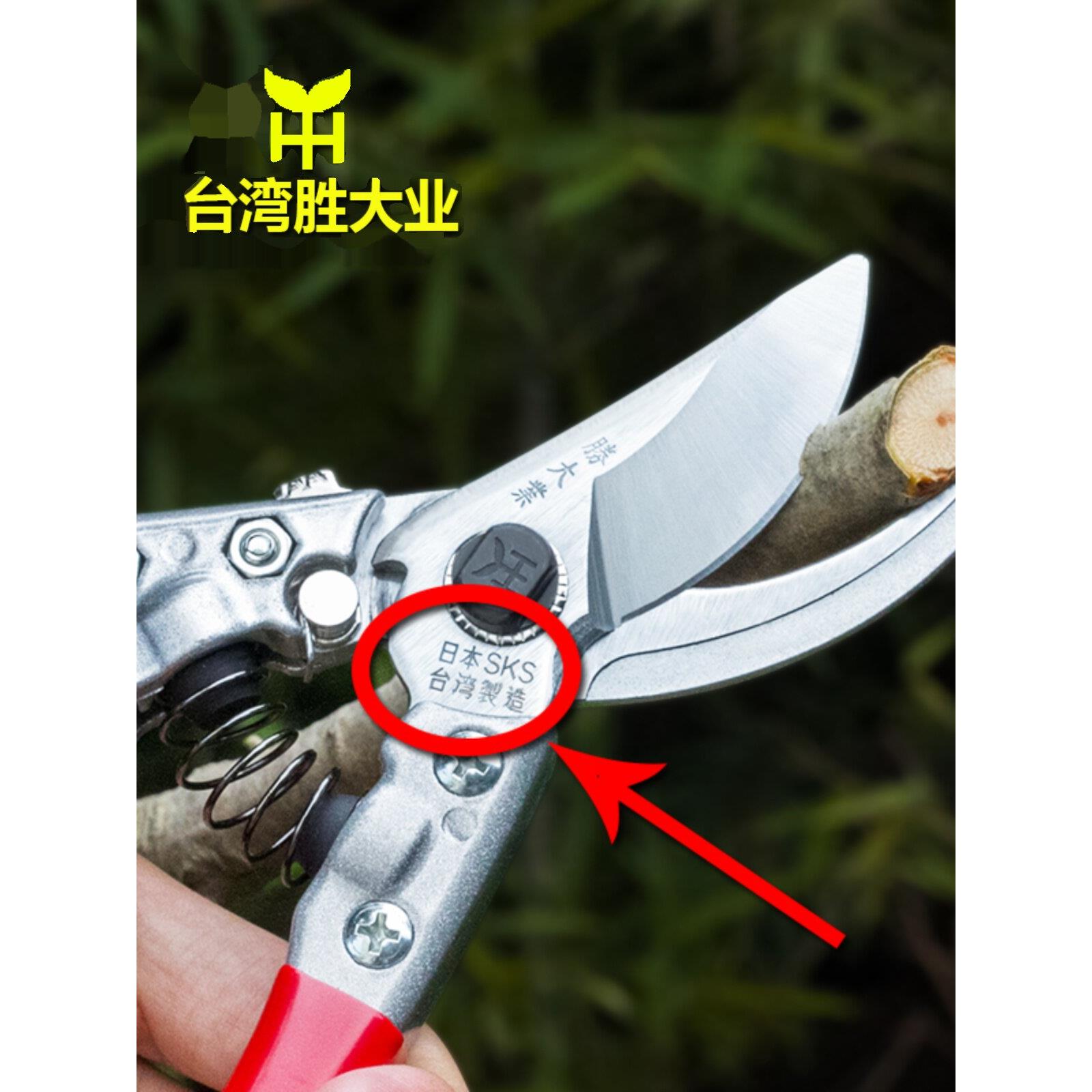 台湾进口剪枝剪刀园艺花剪刀厚枝果树剪枝省力剪刀园艺剪枝剪枝剪
