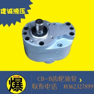 B63 B125FR钢齿轮油泵 B25 B32 B16 B2.5 B10 B80 B50