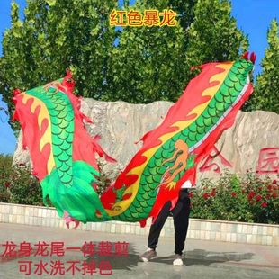 广场舞中老年人男女健身龙带甩彩带中国舞龙塑料抗摔钢架龙头道具