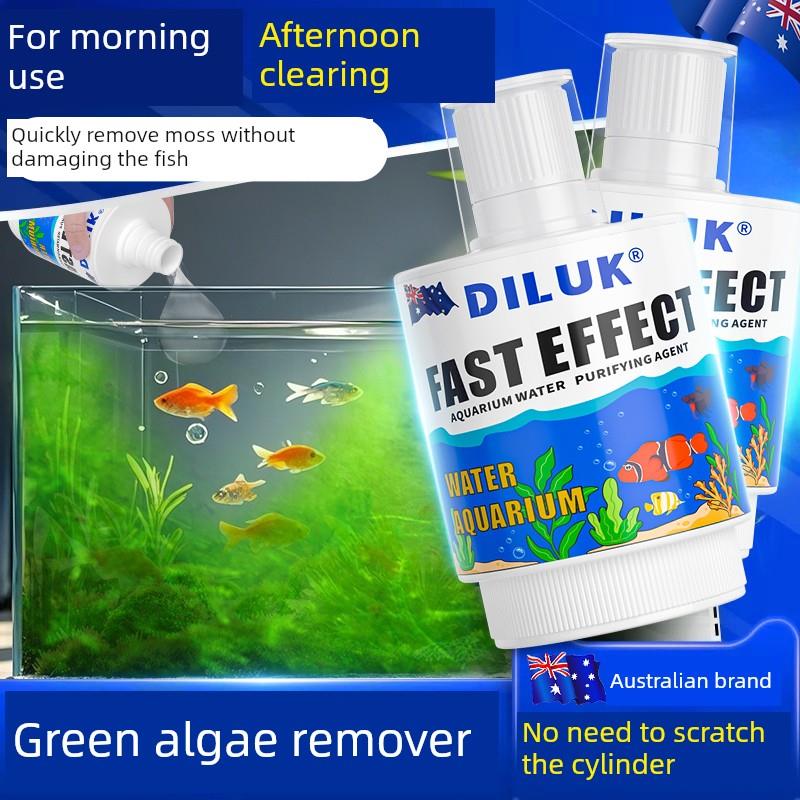 绿藻去除剂鱼缸杀藻剂神器专用除苔剂生物净水器丝棕刚硬黑毛藻克