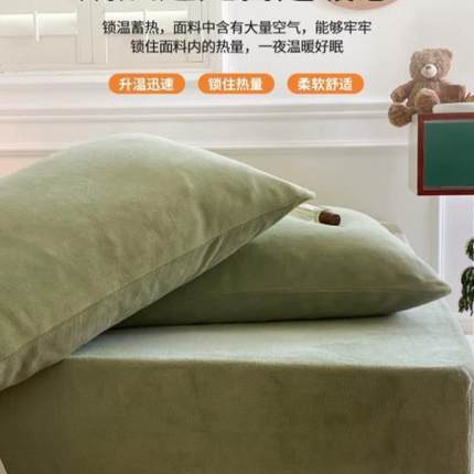 牛奶绒枕套一对装珊瑚绒枕头套加厚家用48c74cm单个枕芯内胆套