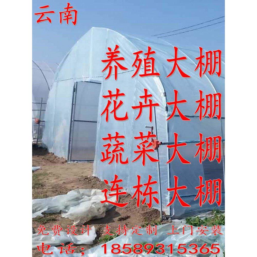 云南 温室养殖大棚花卉大棚 蔬菜大棚 连栋大棚 大棚钢管大棚骨架