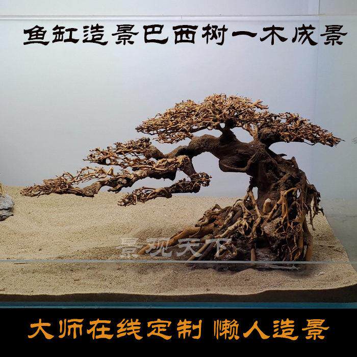 草缸造景用巴西树沉木 适合新手的鱼缸DIY莫斯树造景 可定制尺寸