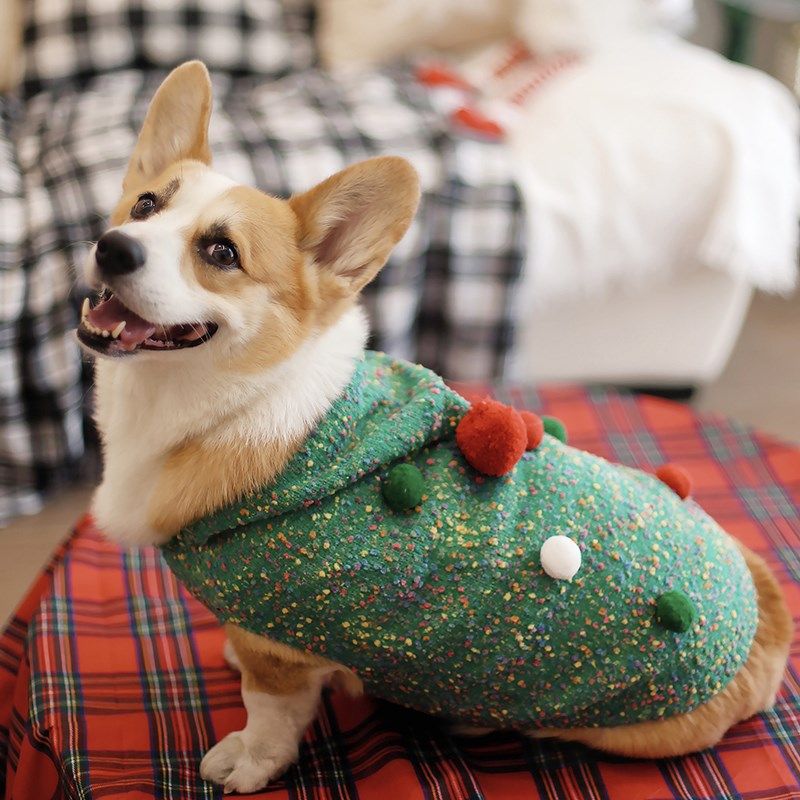 宠物狗狗圣诞无袖衣服可爱球球保暖连帽毛衣背心柯基中小型犬秋冬