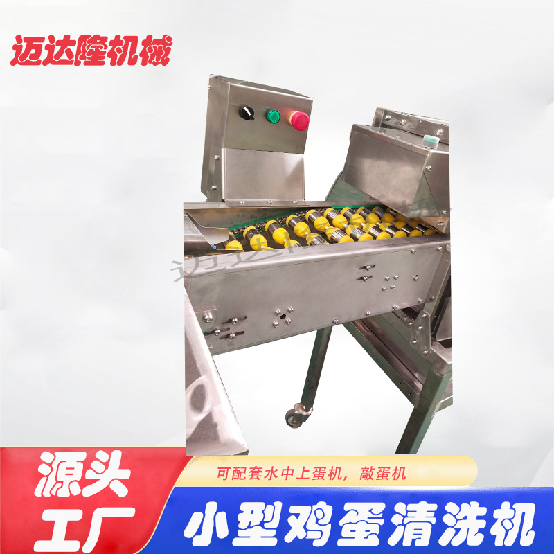 源头厂家蛋粉生产线设备中央厨房设备小洗蛋机麻酱蛋清洗机