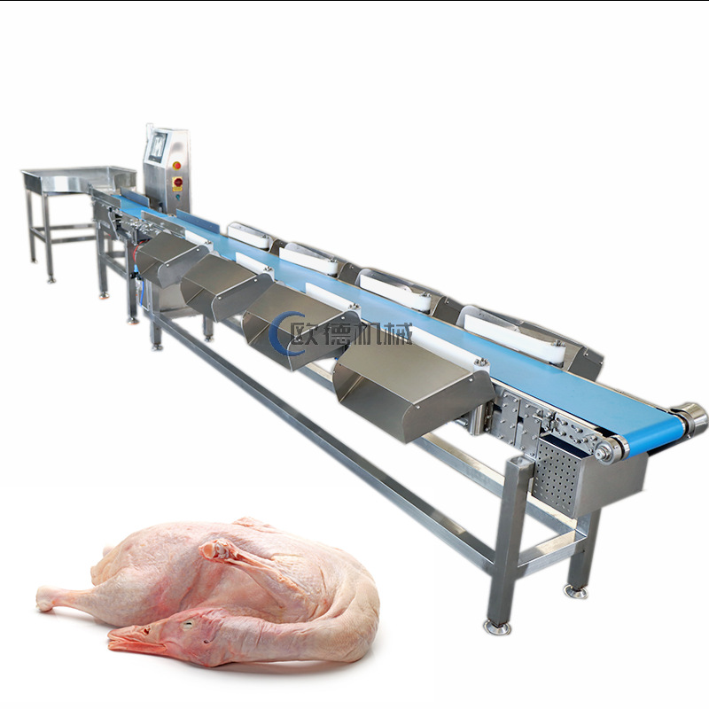 整鸡皮带称重分选机 生鸭多宝鱼重量多级分拣不锈钢材质 稳定耐用
