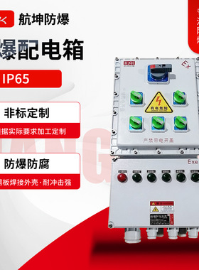 零售配电箱变频器EXPLC防腐控制柜动力照明箱接线箱防爆配电箱