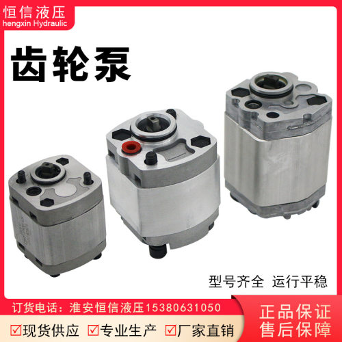 厂家供应液压动力单元配件齿轮泵增压泵规格齐全正品现货液压油泵