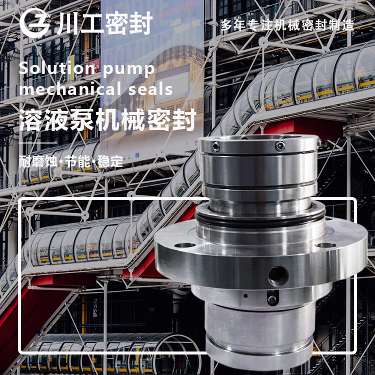 机械密封/APP11-40/100089465\外置式机械密封 W74S2/125-G95A