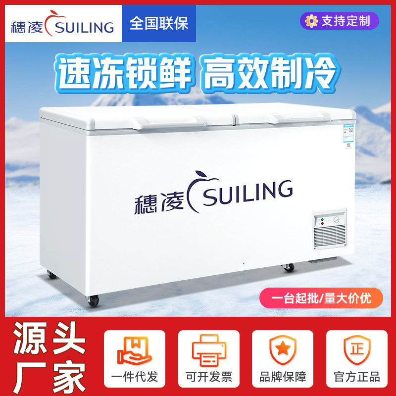 穗凌BD小型冰柜卧式冷冻柜商用大容量冷冻冷藏冰箱雪柜餐饮店冷柜