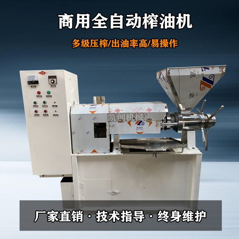 中型螺旋榨油机 商用不锈钢茶籽榨油机 油坊菜籽大豆加工榨油机