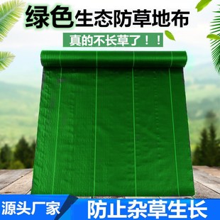 新型防草布绿色j果树园水果园农用除草布铺地防杂草种植地膜菜地