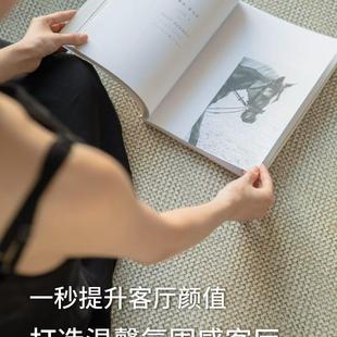 轻奢高级免洗可擦防水简约茶几家用地垫 地毯客厅秋冬侘寂2023新款