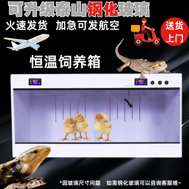 芦丁鸡饲养箱恒温爬宠爬箱饲养缸鬃狮蜥蜴鹦鹉幼鸟保温恒温箱