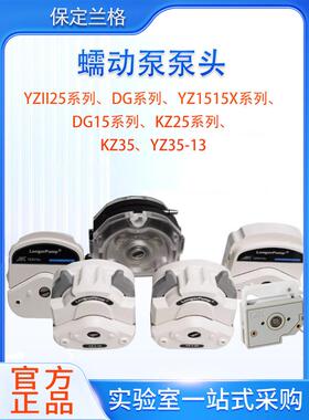保定朗格蠕动泵头Yz1515X/Yzii25/Dg/Kz25/Yz3513Dg-12 Kz35/25
