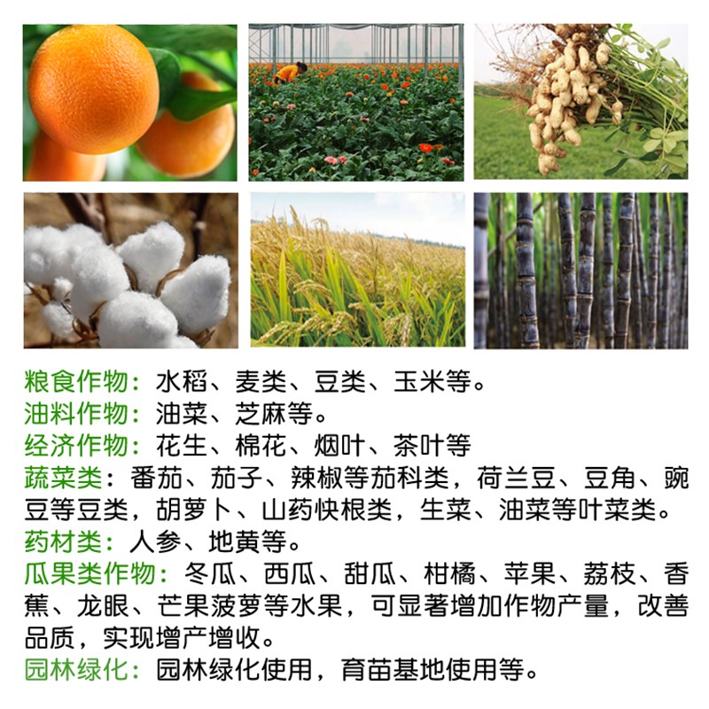 酶解鱼蛋白水溶肥叶面肥冲施肥壮苗膨果着色果树蔬菜番茄药材粉剂