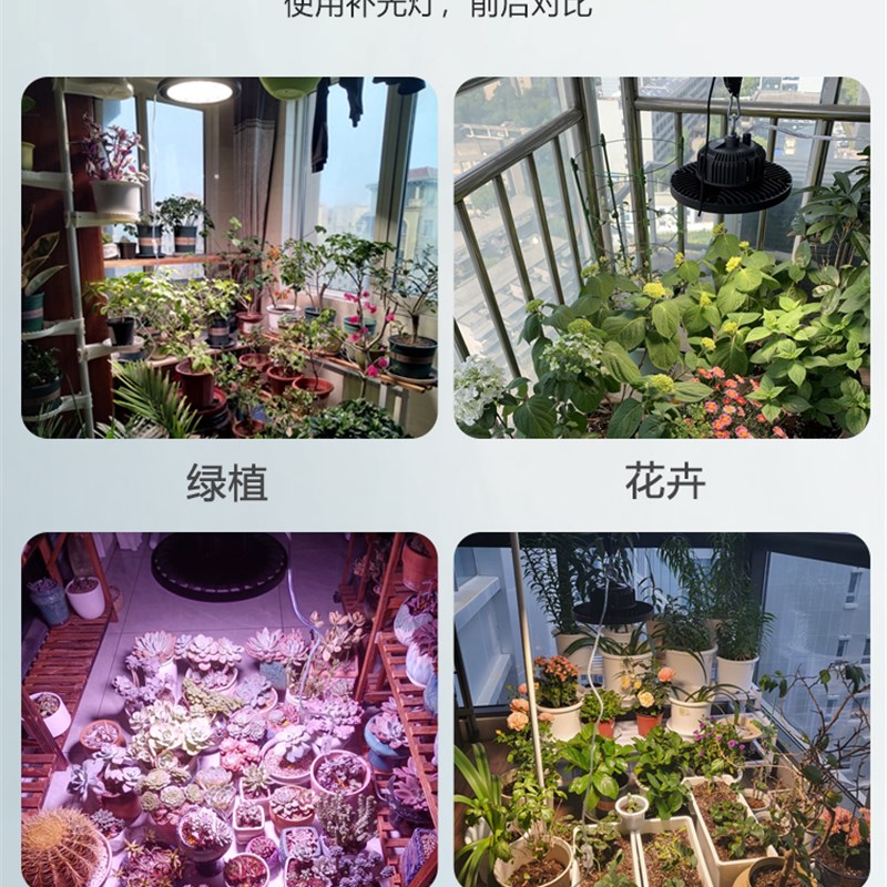 全光谱植物补光灯阳台大棚养兰花卉月季植物生长灯室内led生长灯