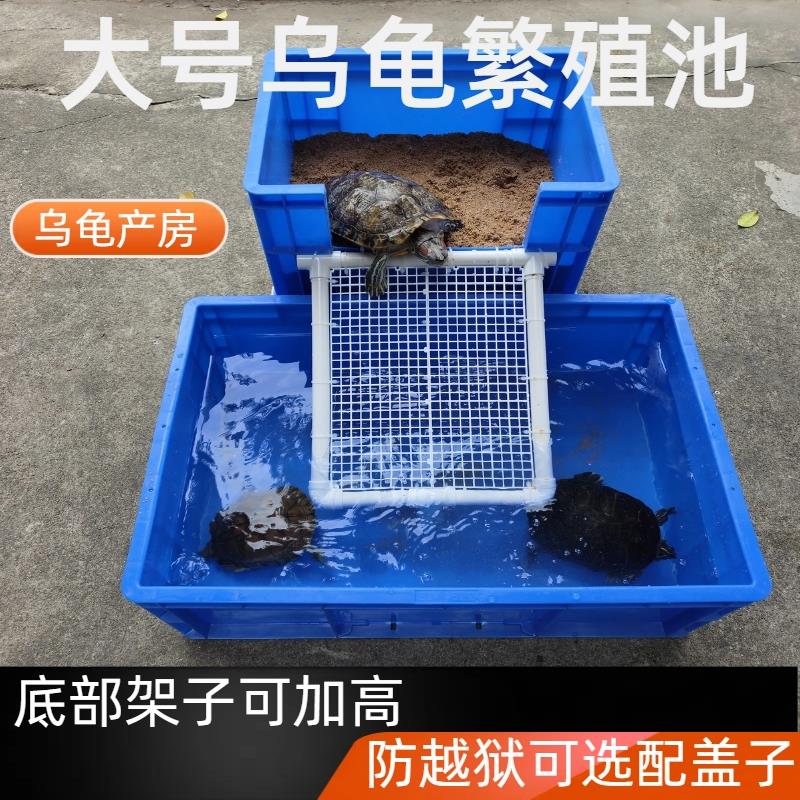 乌龟产蛋池生蛋箱网格龟下蛋盒乌龟晒背台生蛋繁殖箱爬坡产卵沙盘