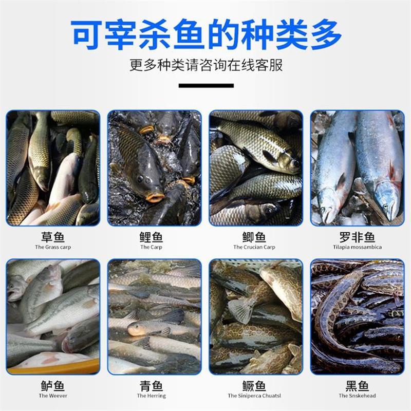全自动杀鱼机商用开肚开背一体机杀大小鱼可加大开背机去中骨机