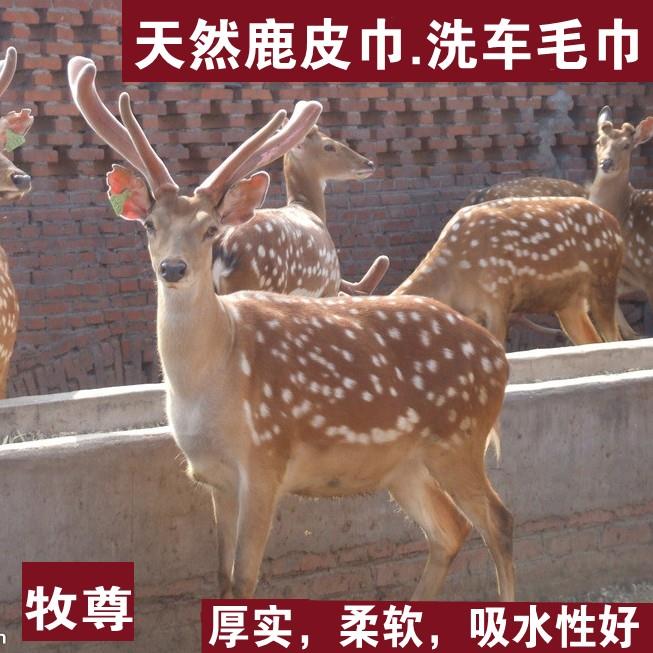 鹿皮巾擦车巾加厚洗车大毛巾擦玻璃吸水毛巾真皮麂皮鸡皮鹿皮抹布