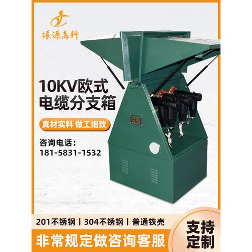 10Kv-35Kv室外高压电缆分支箱一二三四五六出欧洲不锈钢对接箱