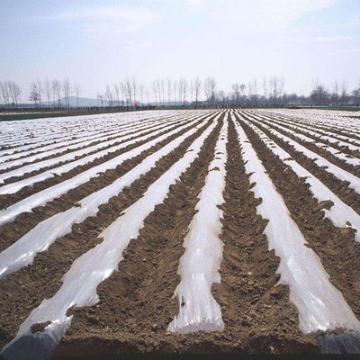 供应地膜聚乙烯透明地膜降解地膜黑色地膜黑白地膜