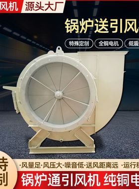 GY5-51锅炉引风机 蜗牛风机工业喷漆房离心引风机 工业除尘风机厂
