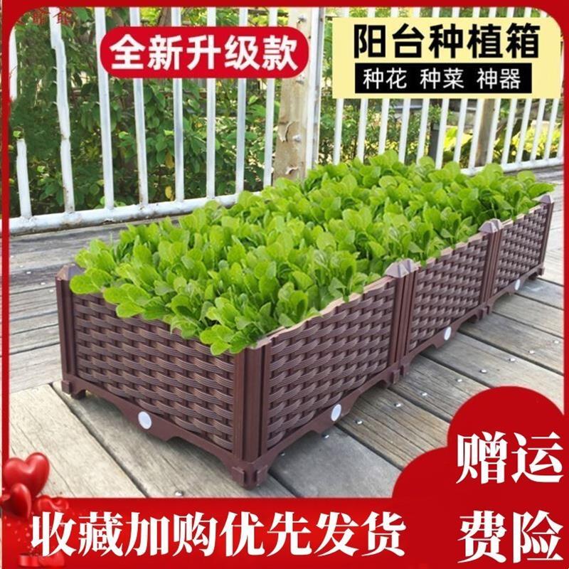 房顶种菜箱种蔬菜的箱子阳台种菜泡沫箱屋顶种菜专用箱室外厂家