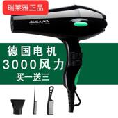 瑞莱雅正品 发廊专业吹风机大功率家用吹风机护发负离子发型理髲店